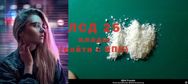 ПСИЛОЦИБИНОВЫЕ ГРИБЫ Арсеньев