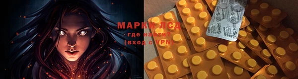 ПСИЛОЦИБИНОВЫЕ ГРИБЫ Арсеньев