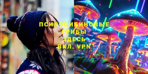 Альфа ПВП Армянск