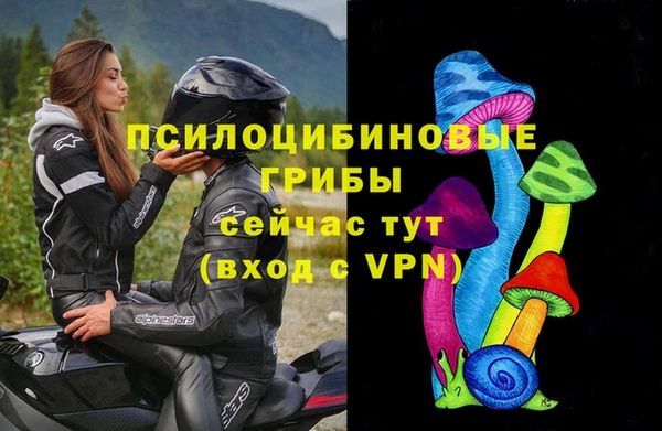 ПСИЛОЦИБИНОВЫЕ ГРИБЫ Арсеньев