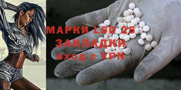 ПСИЛОЦИБИНОВЫЕ ГРИБЫ Арсеньев