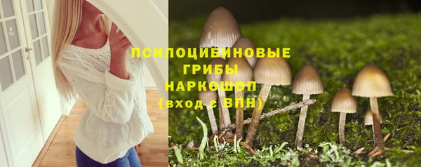 круглые Аркадак