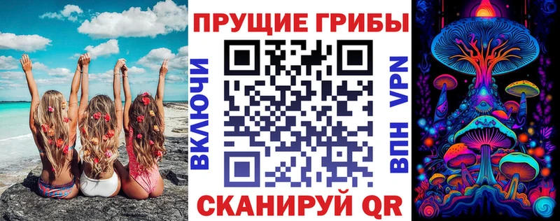 Галлюциногенные грибы ЛСД  Купить закладки  Никольск 